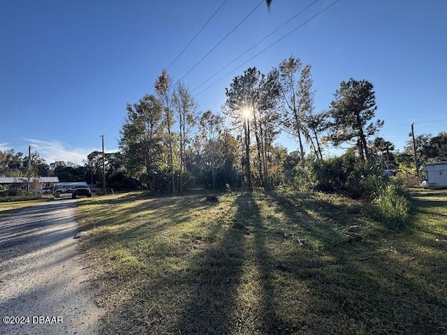 Listing photo 2 for LOT3 NE 307th Ct, Salt Springs FL 32134