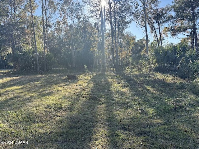 Listing photo 3 for LOT3 NE 307th Ct, Salt Springs FL 32134