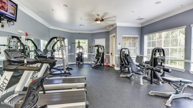 workout area with a wealth of natural light, ceiling fan, and ornamental molding