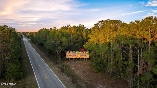 0 Pineland Trl, Ormond Beach FL, 32174 land for sale