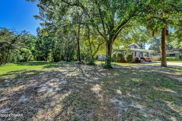 view of yard with covered porch