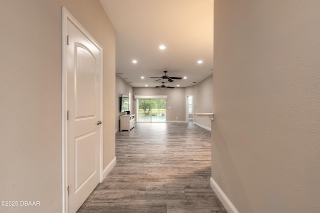 254 Cappella Ct, New Smyrna Beach, FL 32168 - photo 52