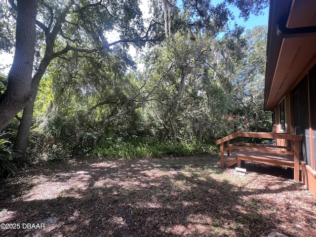 112 Underbrush Trl, Port Orange, FL 32128 - view of yard