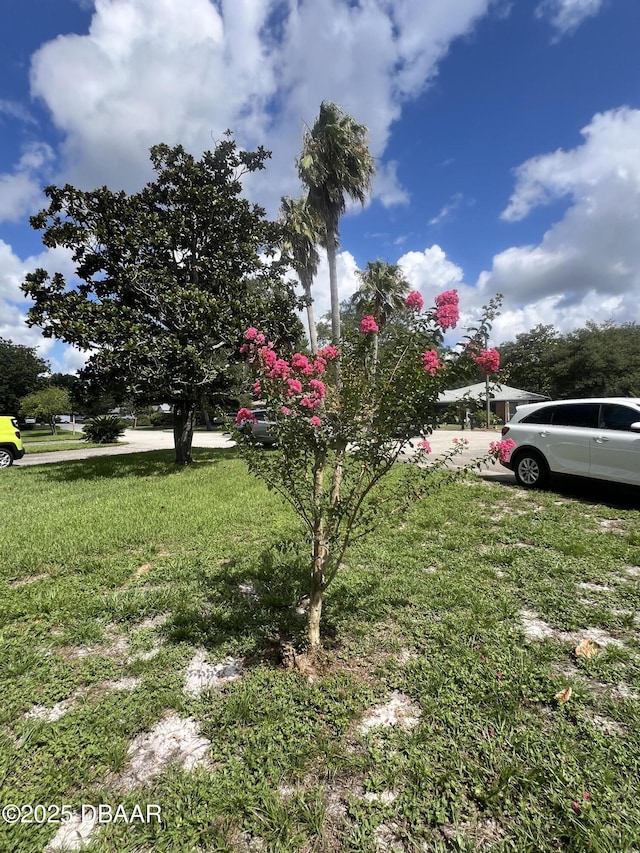 112 Underbrush Trl, Port Orange, FL 32128 - view of grassy yard