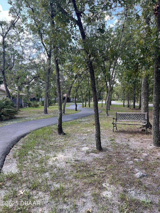 112 Underbrush Trl, Port Orange, FL 32128 - view of yard