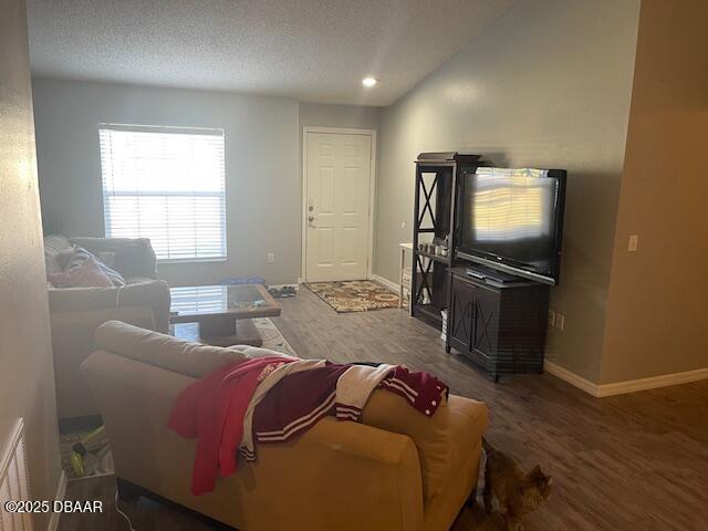 living room with lofted ceiling, wood-type flooring, and a textured ceiling