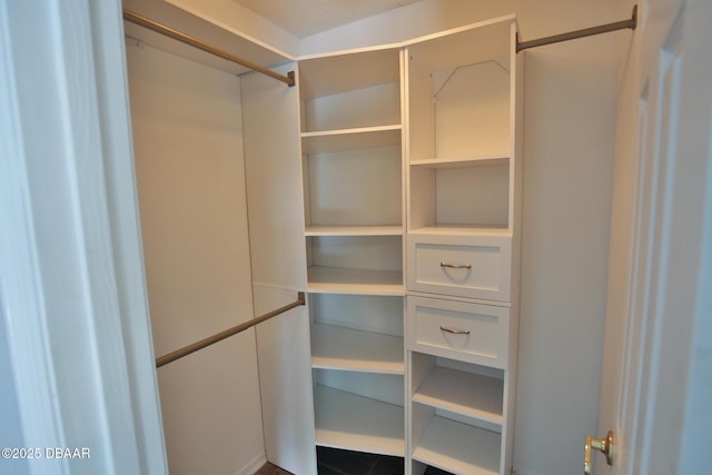 3455 Saddleback Ct, Port Orange, FL 32129 - view of spacious closet