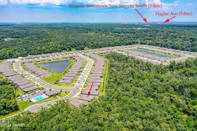1743 Red Rock Rd, New Smyrna Beach, FL 32168 - aerial view of a heavily wooded area