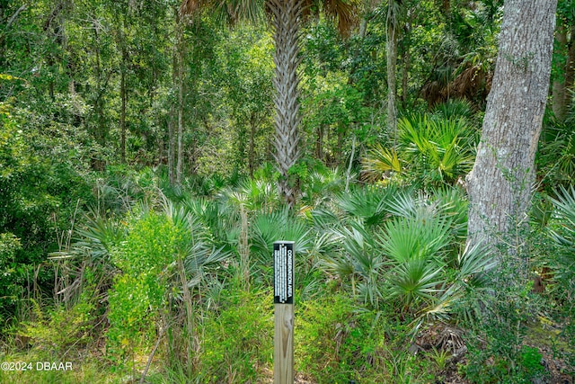 1743 Red Rock Rd, New Smyrna Beach, FL 32168 - view of undeveloped land