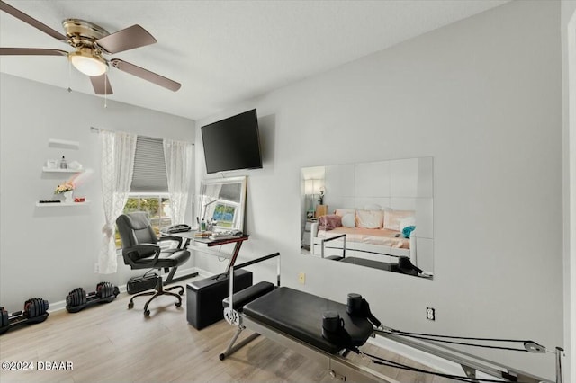 office featuring light hardwood / wood-style flooring and ceiling fan