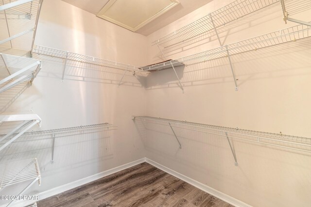 spacious closet featuring wood-type flooring