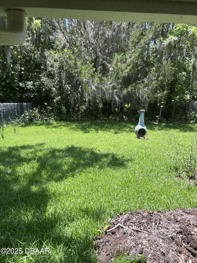 917 Royal Oak Ct, Holly Hill, FL 32117 - view of yard