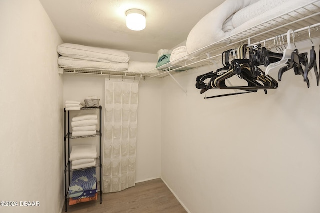 spacious closet with hardwood / wood-style flooring