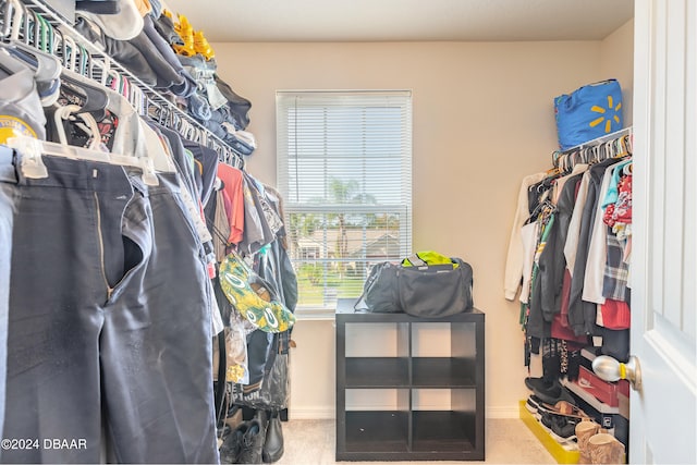 spacious closet featuring carpet flooring