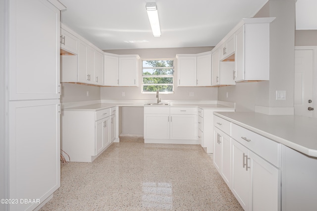 kitchen with white cabinets and sink