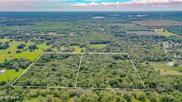 0 Reynolds Rd, Deleon Springs FL, 32130 land for sale