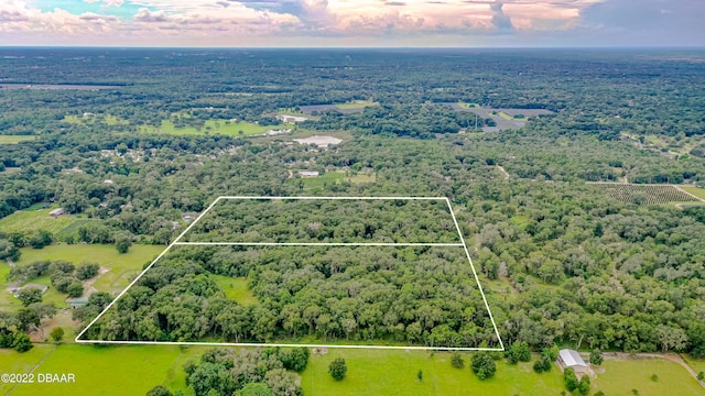 Listing photo 3 for 0 Reynolds Rd, Deleon Springs FL 32130