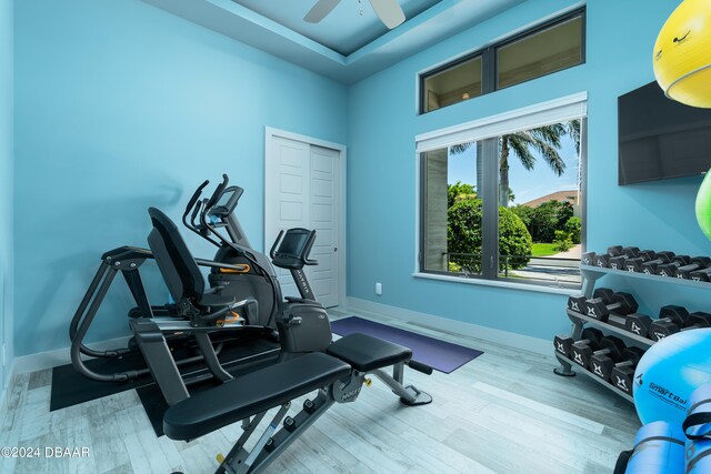 workout area with ceiling fan and light hardwood / wood-style flooring