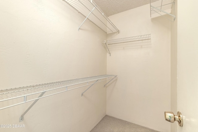 101 Bob White Ct Unit 1, Daytona Beach, FL 32119 - photo 30
