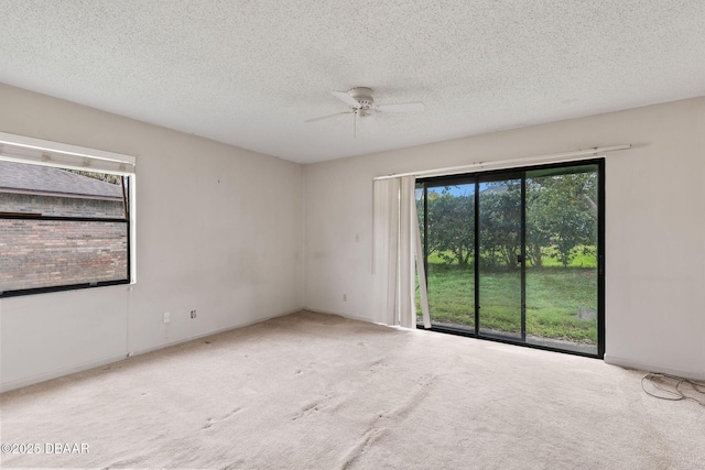 empty room featuring carpet floors, ceiling fan, and a textured ceiling