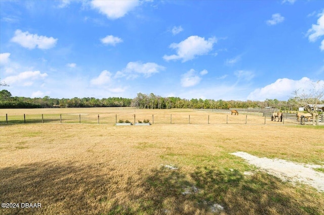 view of yard featuring a rural view