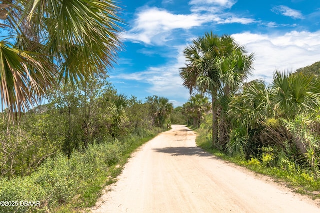 322 5th St N, Flagler Beach, FL 32136 - photo 50