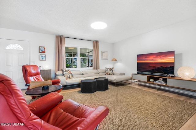 living area featuring wood finished floors
