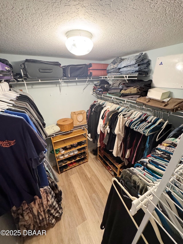 spacious closet featuring wood finished floors