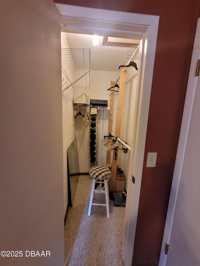 3557 Forest Branch Dr Unit B, Port Orange, FL 32129 - walk in closet with carpet floors
