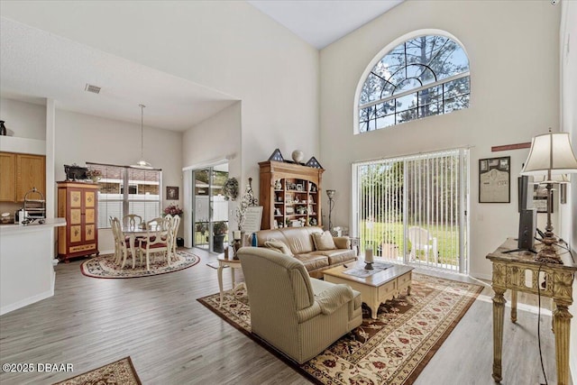 21 Whittingham Ln, Palm Coast, FL 32164 - living room featuring wood finished floors, a high ceiling, and a healthy amount of sunlight