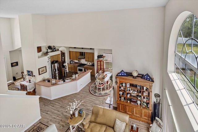 21 Whittingham Ln, Palm Coast, FL 32164 - living area featuring a towering ceiling and wood finished floors