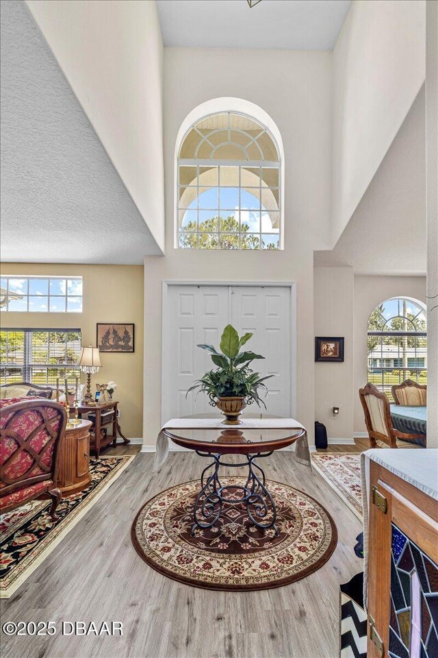21 Whittingham Ln, Palm Coast, FL 32164 - entrance foyer featuring a healthy amount of sunlight, wood finished floors, and a towering ceiling