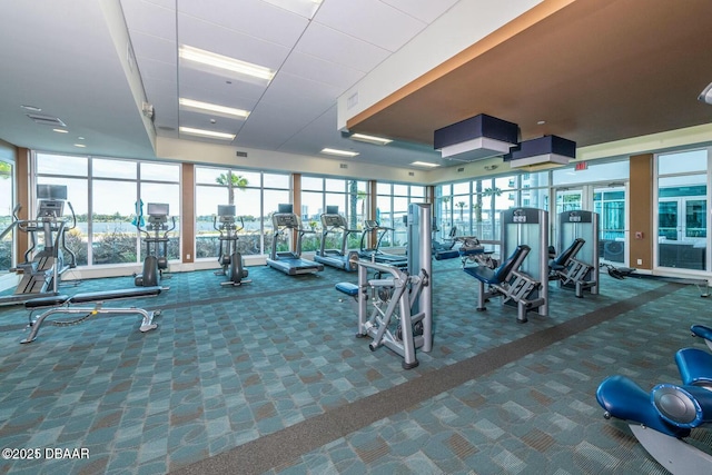 gym featuring carpet floors, floor to ceiling windows, and visible vents