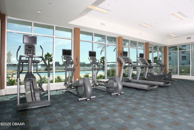 exercise room featuring carpet flooring