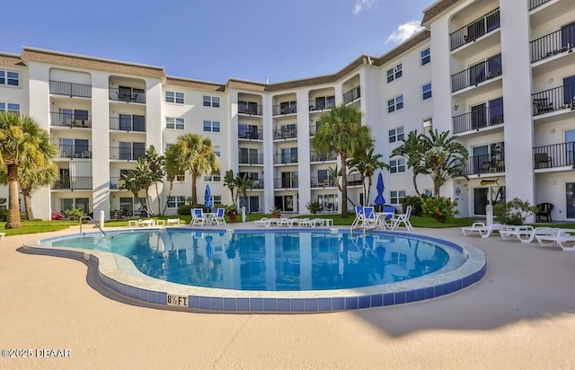 view of swimming pool with a patio