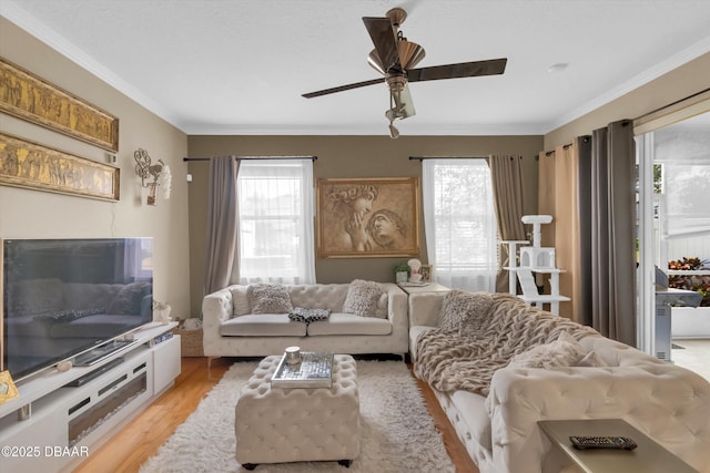 1767 Travertine Ter, Sanford, FL 32771 - living area featuring ornamental molding, ceiling fan, and light wood-style floors