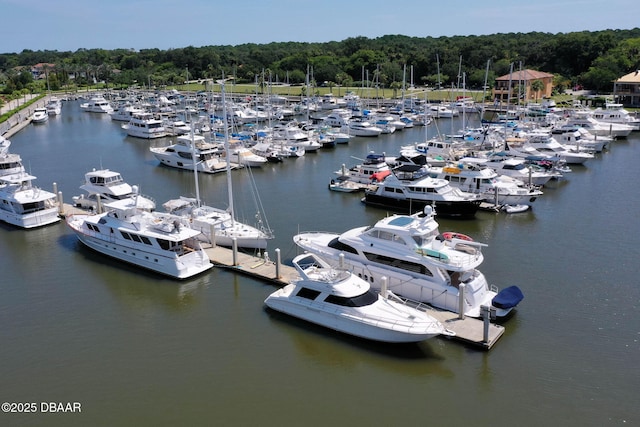 bird's eye view with a water view and a wooded view