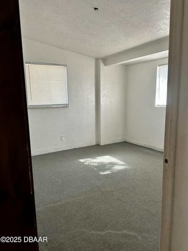 unfurnished room with a textured ceiling and carpet