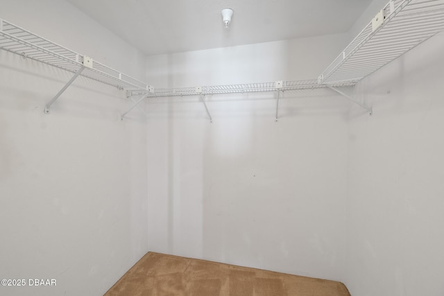 walk in closet featuring light carpet