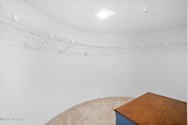 spacious closet with carpet