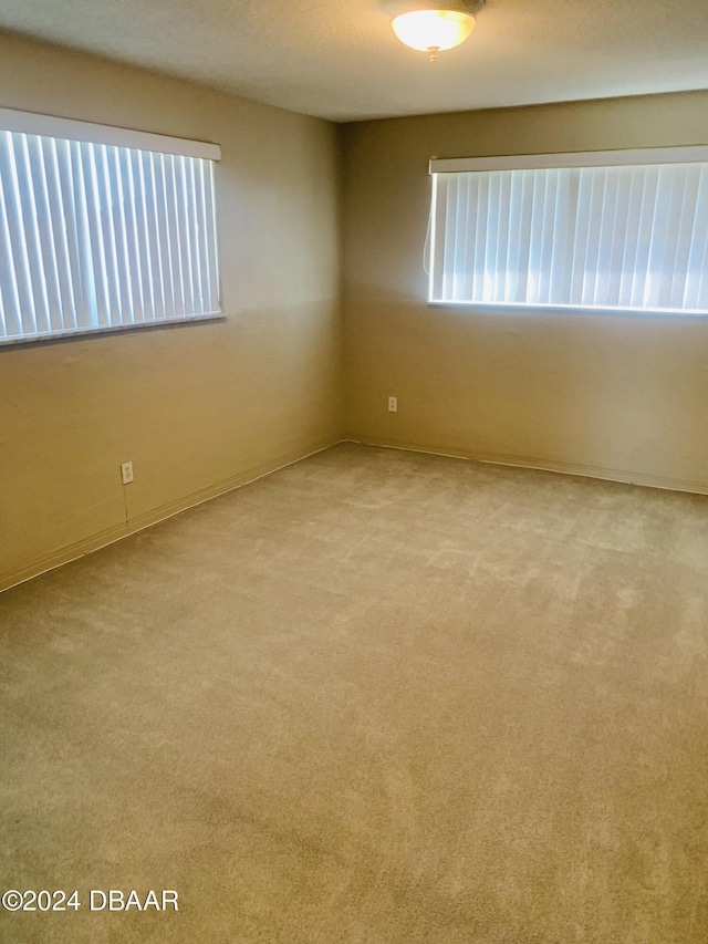 spare room featuring a wealth of natural light and carpet