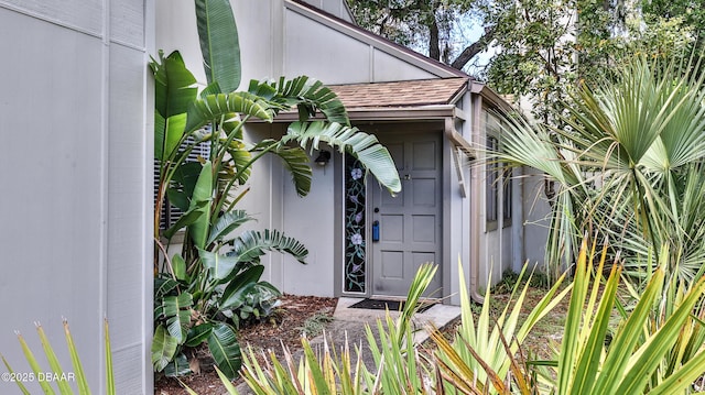 201 Pine Cone Trl, Ormond Beach, FL 32174 - doorway to property featuring roof with shingles