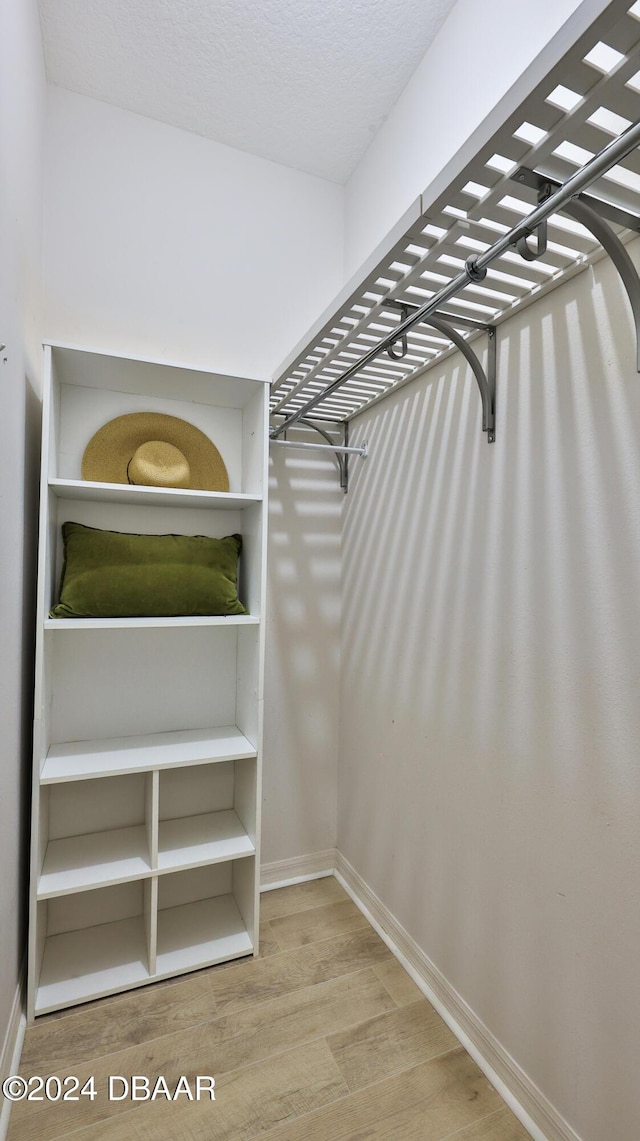 spacious closet with hardwood / wood-style flooring