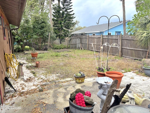 view of yard with a patio area and a fenced backyard