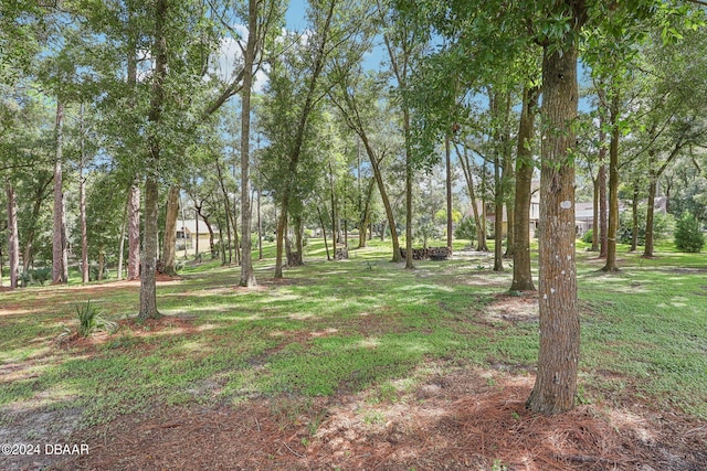 1582 Covered Bridge Dr, Deland, FL 32724 - photo 65
