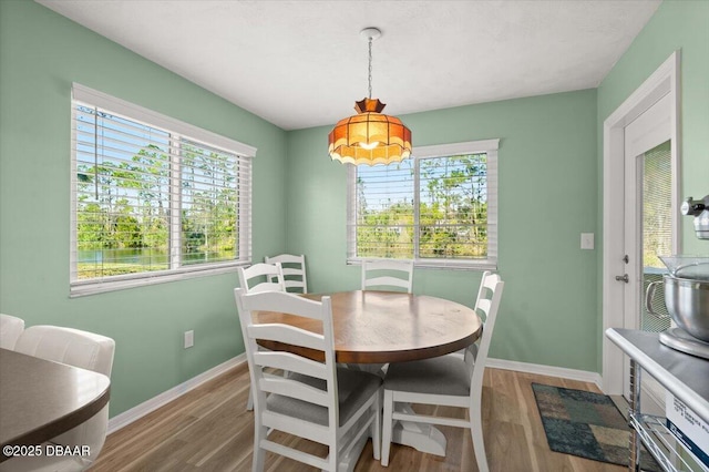 dining area featuring hardwood / wood-style floors