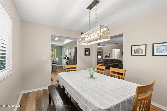 dining space featuring a tray ceiling and wood-type flooring