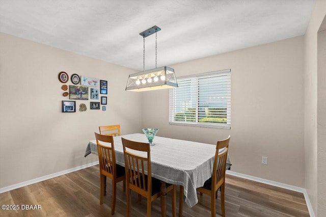 dining room featuring dark hardwood / wood-style floors