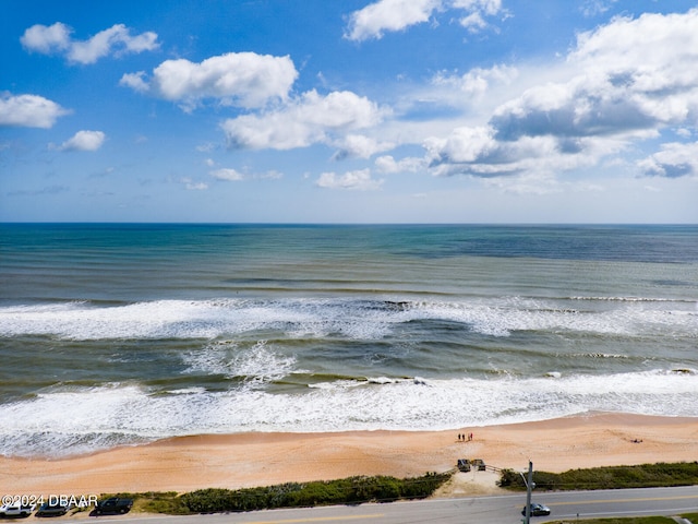 property view of water with a beach view