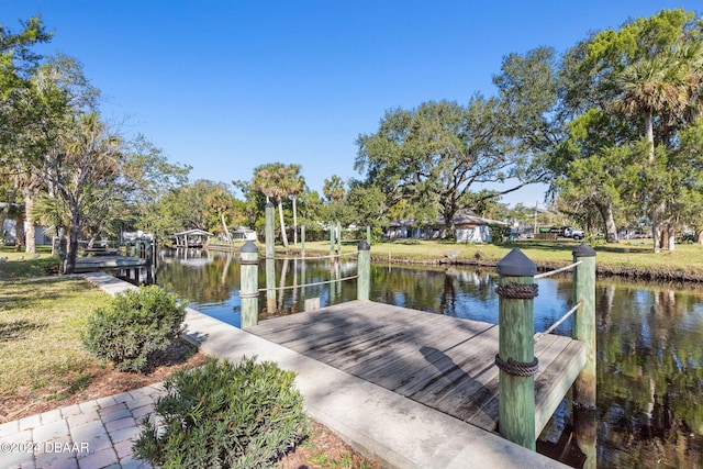 dock area with a water view